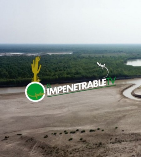 IMPENETRABLE TV