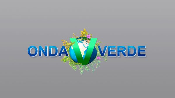Onda Verde | T: 2023 | 30.09