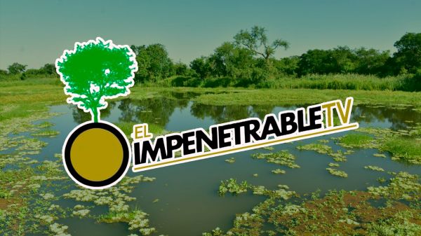Impenetrable TV | T: 2024 | 04.05